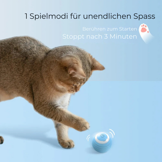 KATZEN GLÜCKSJÄGER BALL