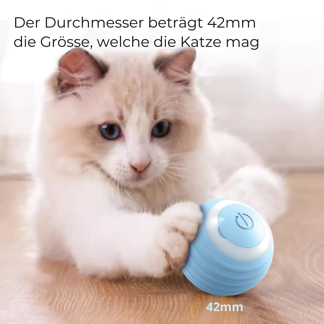 KATZEN GLÜCKSJÄGER BALL