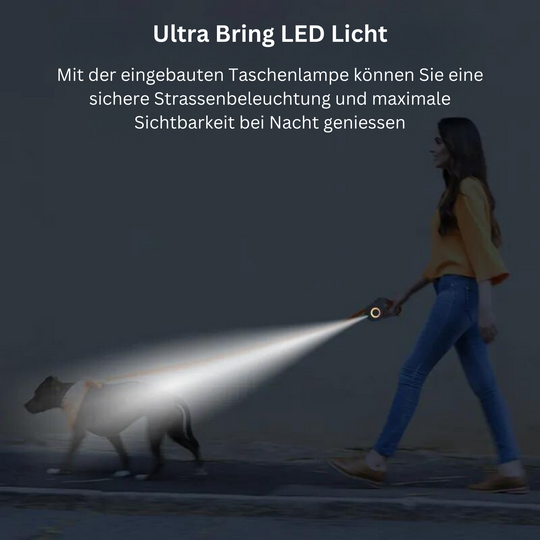 LAISSE POUR CHIEN LED